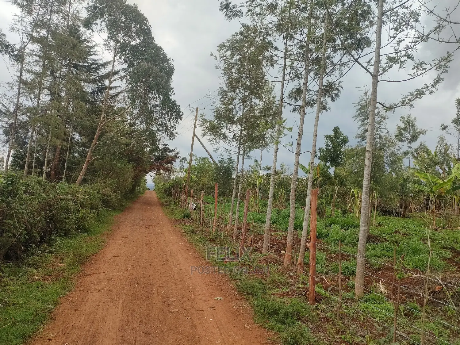2 Acres Karatina /Hiriga