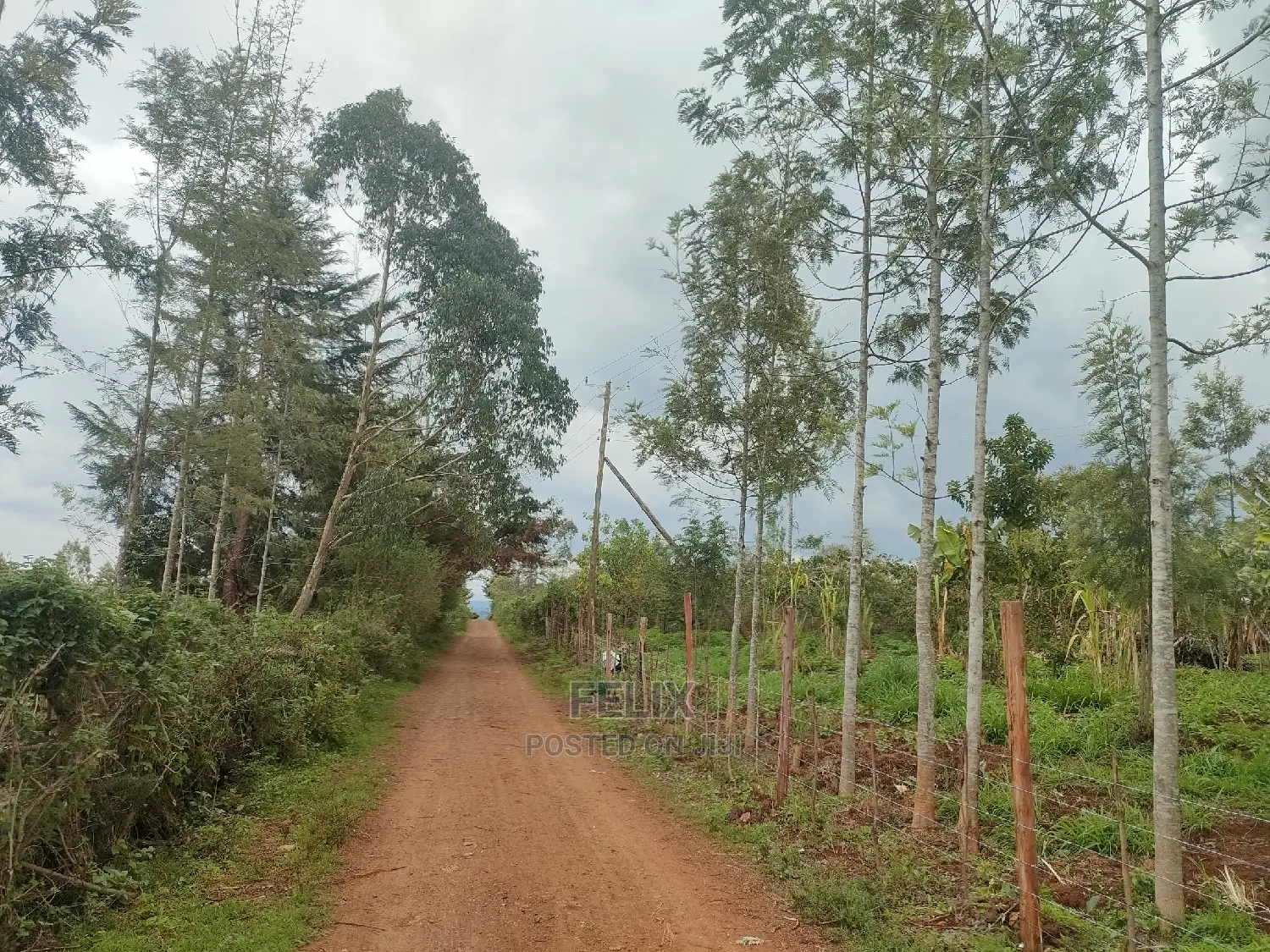 2 Acres Karatina /Hiriga