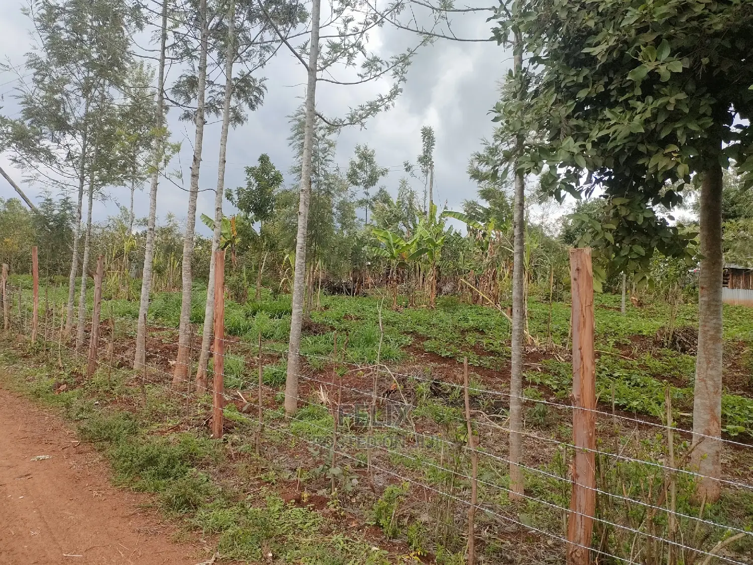 2 Acres Karatina /Hiriga