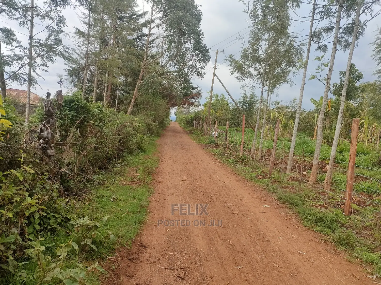 2 Acres Karatina /Hiriga