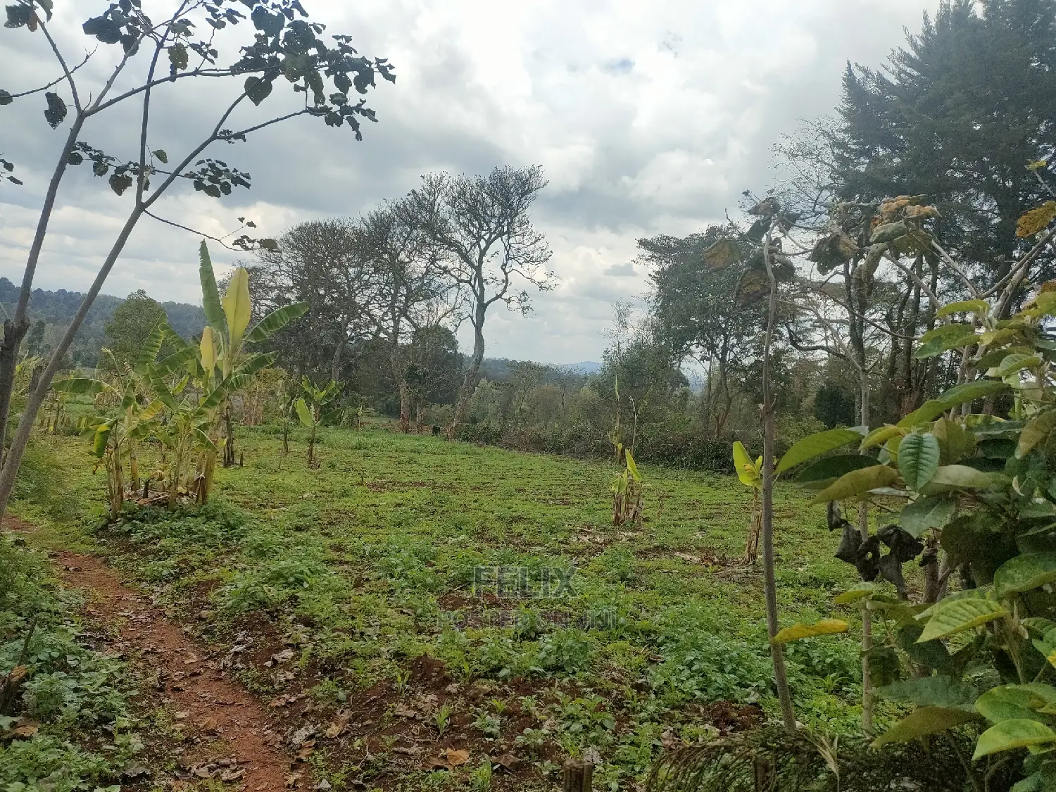 2 Acres Karatina /Hiriga
