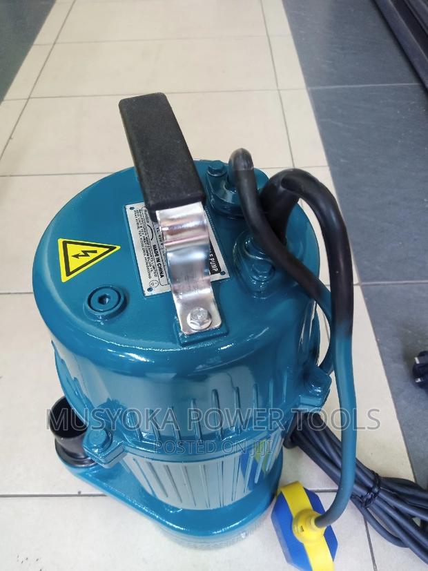 3hp, 2", 15 M Head, Shallow Well Sewage Pump