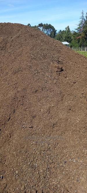 Sheep Manure - main view