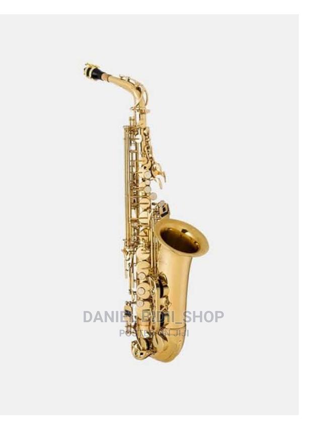 Alto Tenor Saxophone - main view