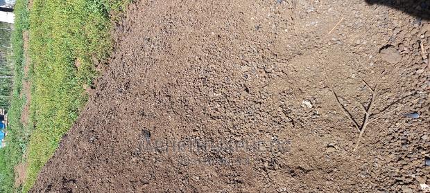 Manure,Mborea Bora. - thumbnail 3