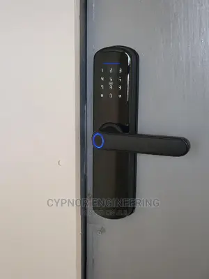 Biometric Wifi Smart Lock With Mobile App and Cards