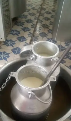 Dairy Processing Yoghurt, Mala Cheese Consultant