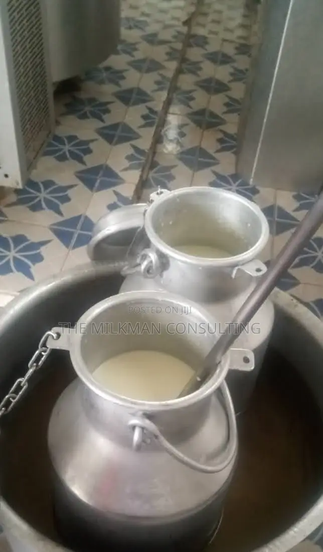Dairy Processing Yoghurt, Mala Cheese Consultant