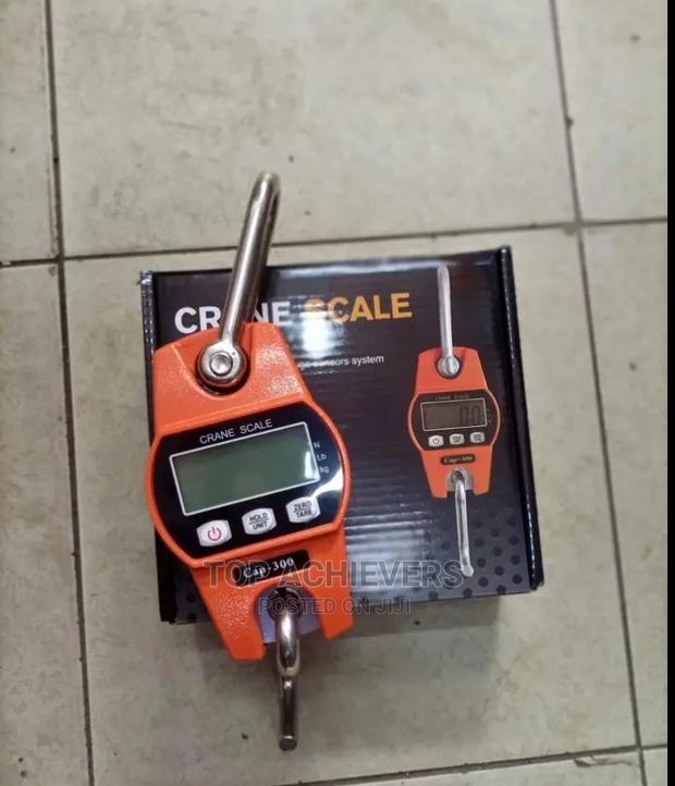 Hanging New Scale - main view