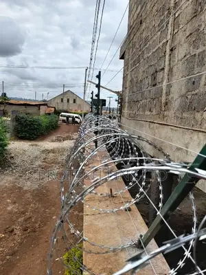 Electric Fence With Razor Wire