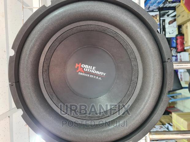 12 Inch Double Magnet Mobile Authority Bass Subwoofer