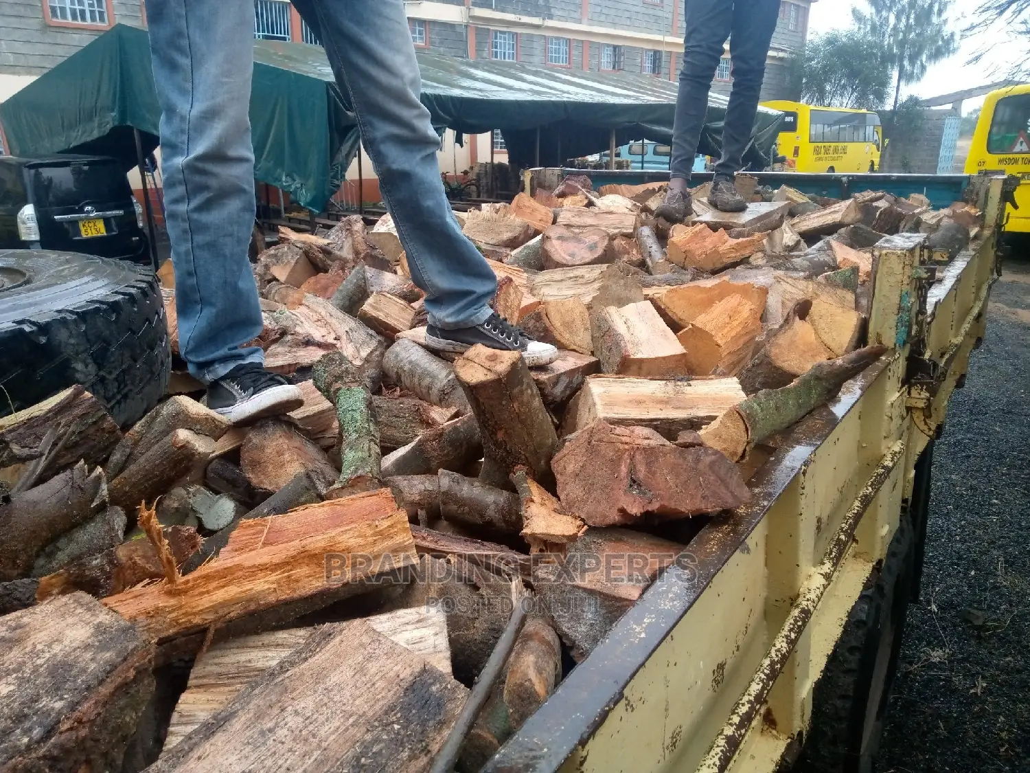 Firewood for Sale Kuni Dry Firewood