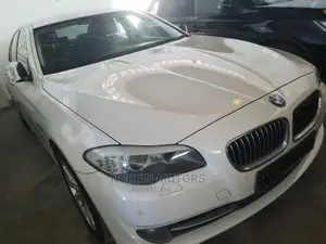 Experience the 2015 BMW 520i Sedan's sleek