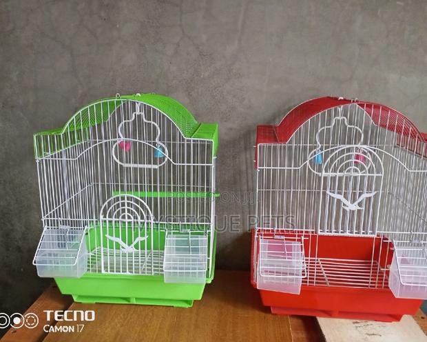 Small Birds Cages - main view