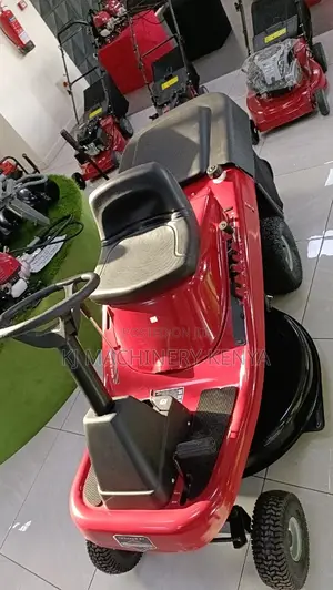 Ride on Lawn Mowers