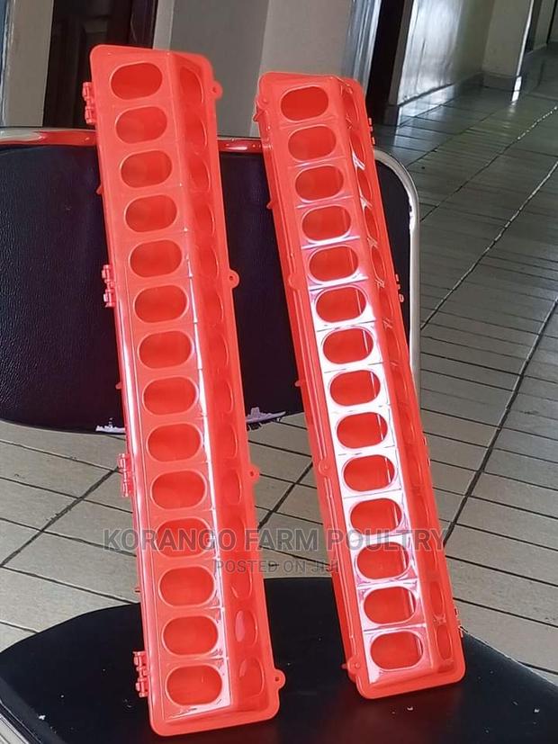 Chick Feeders - thumbnail 2