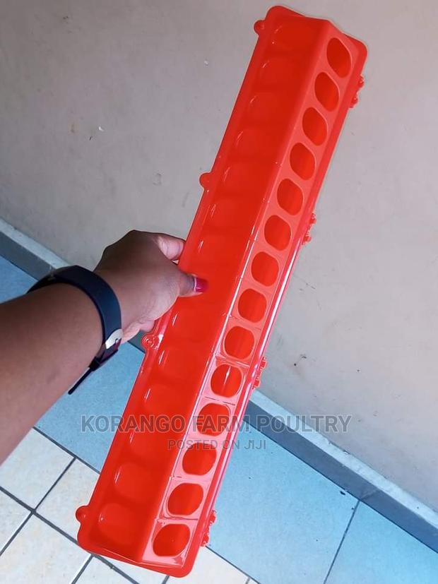 Chick Feeders - main view