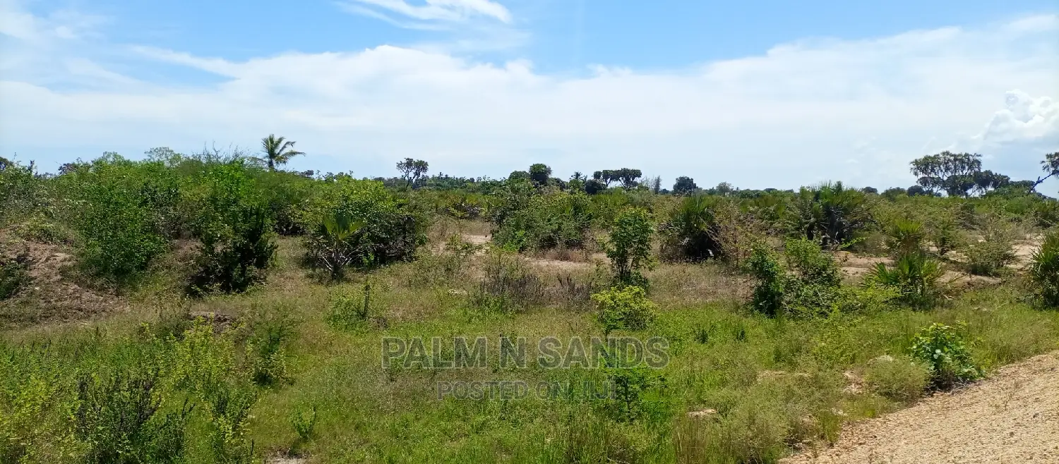 Majoreni 40 Acres Prime Property!! At 