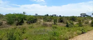 Majoreni 40 Acres Prime Property!! At 