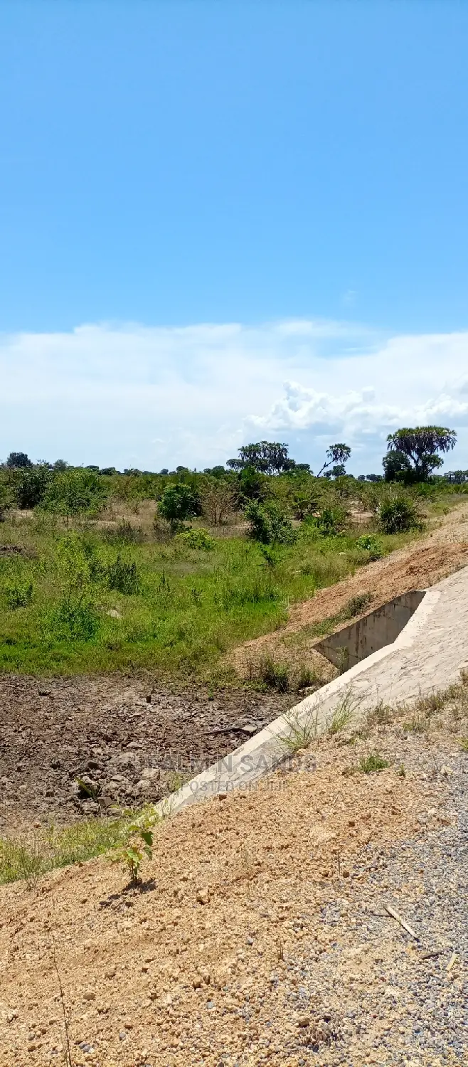 Majoreni 40 Acres Prime Property!! At 