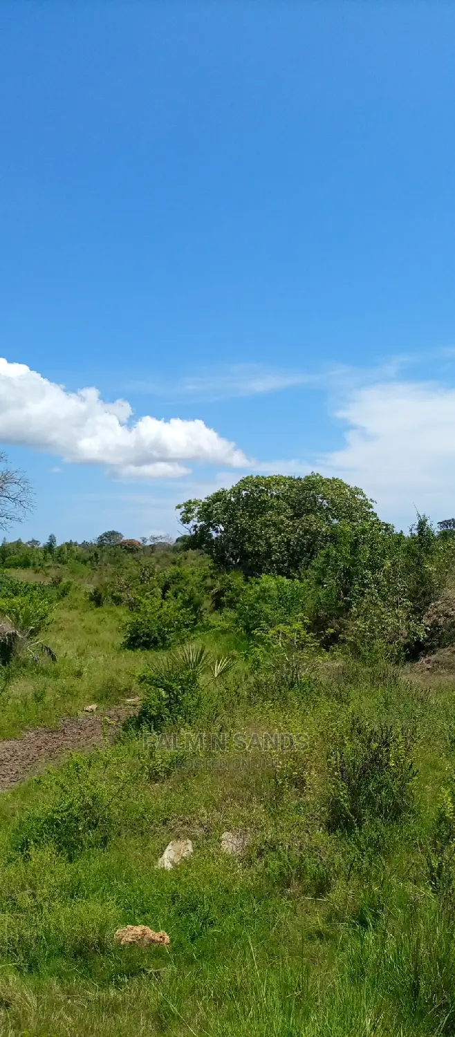 Majoreni 40 Acres Prime Property!! At 