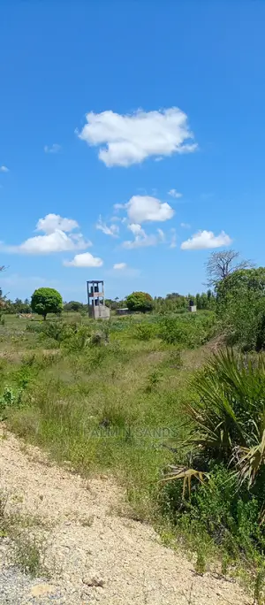 Majoreni 40 Acres Prime Property!! At 