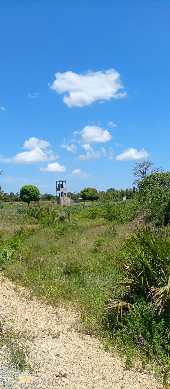 Majoreni 40 Acres Prime Property!! At 