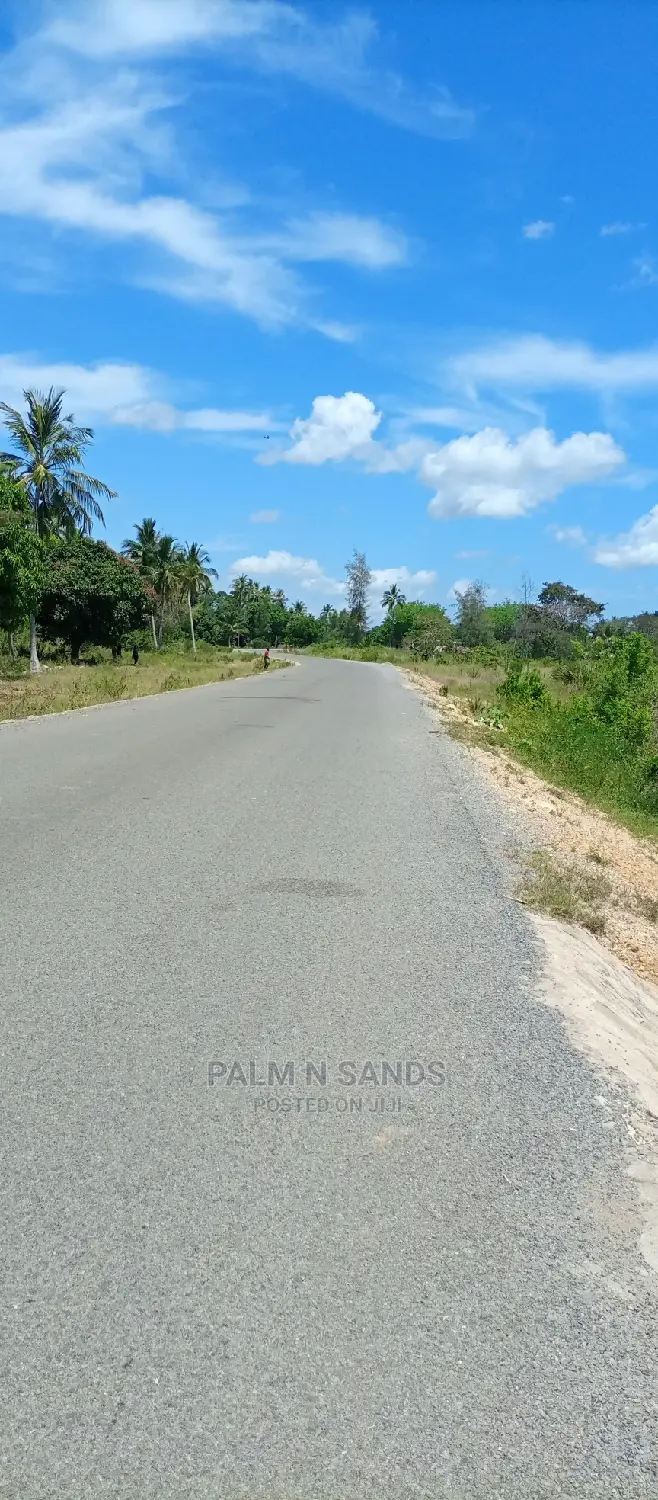 Majoreni 40 Acres Prime Property!! At 