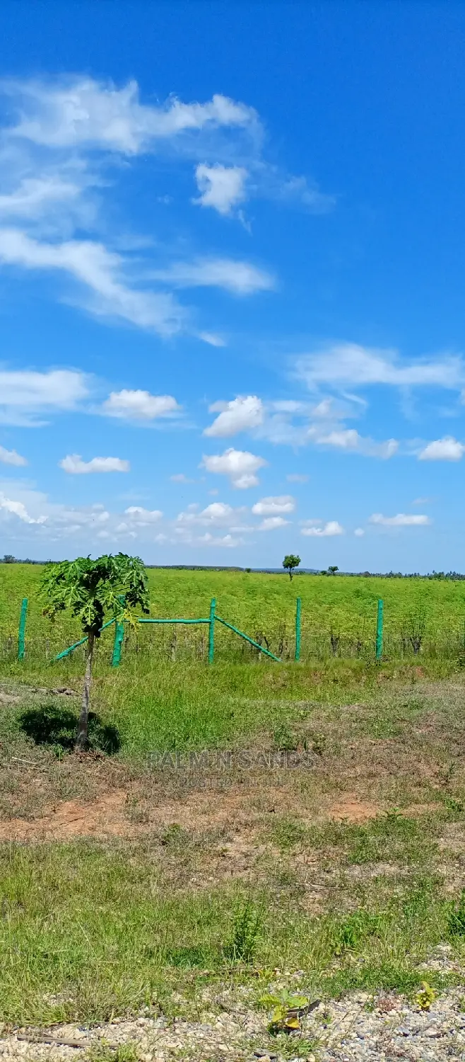 Majoreni 40 Acres Prime Property!! At 