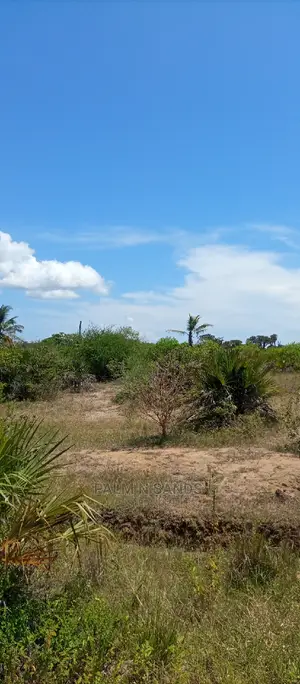 Majoreni 40 Acres Prime Property!! At 