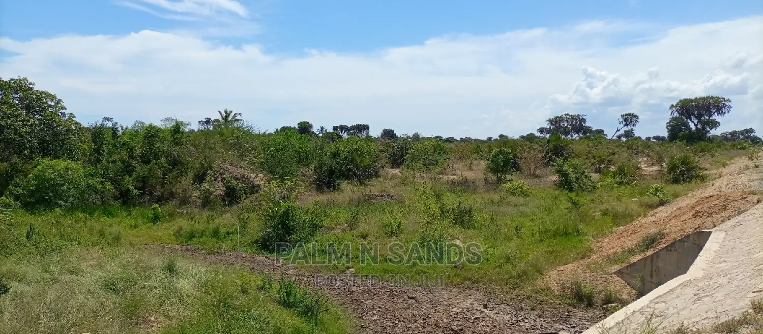 Majoreni 40 Acres Prime Property!! At 