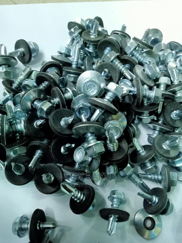 Self Drilling Tapping Screw With Hex Washer Head 5.5x2
