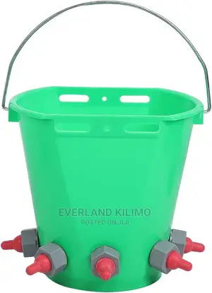 Improved Lamb Milk Feeding Bucket With Teats