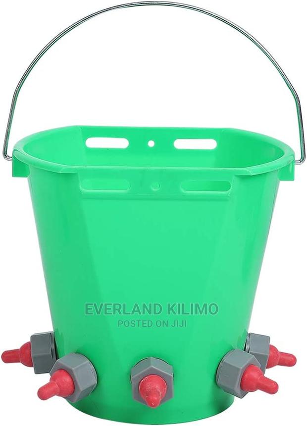 Improved Lamb Milk Feeding Bucket With Teats - main view