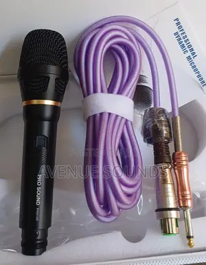 Pro Sound Wired Microphone