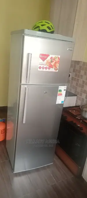Fridge Repair Services