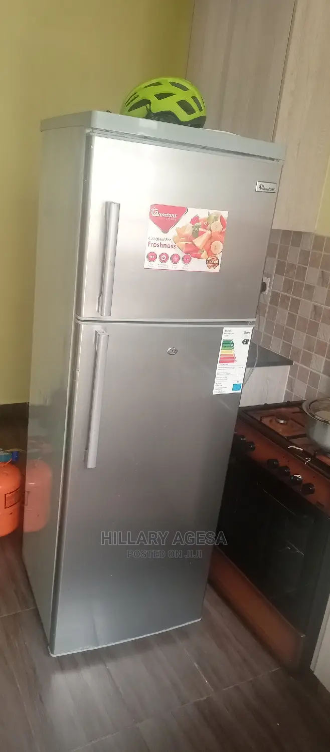 Fridge Repair Services