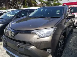 Toyota RAV4 SE AWD (2.5L 4cyl 6A) 2016 Gray