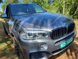 BMW X6 2016 Gray