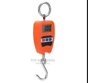High Quality Hanging Scale