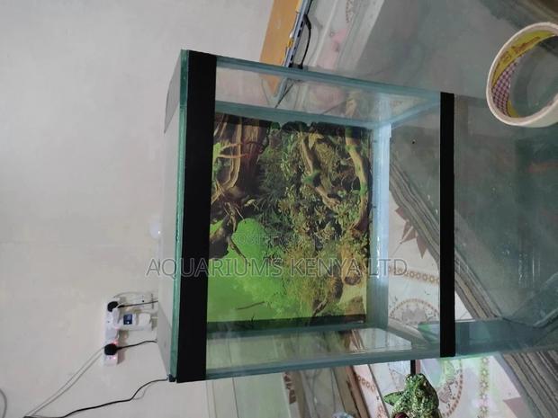 35litres Aquarium, Aquarium Offers - main view