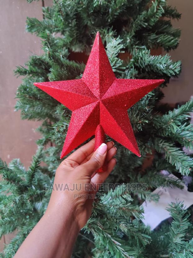 Red Christmas Star - main view