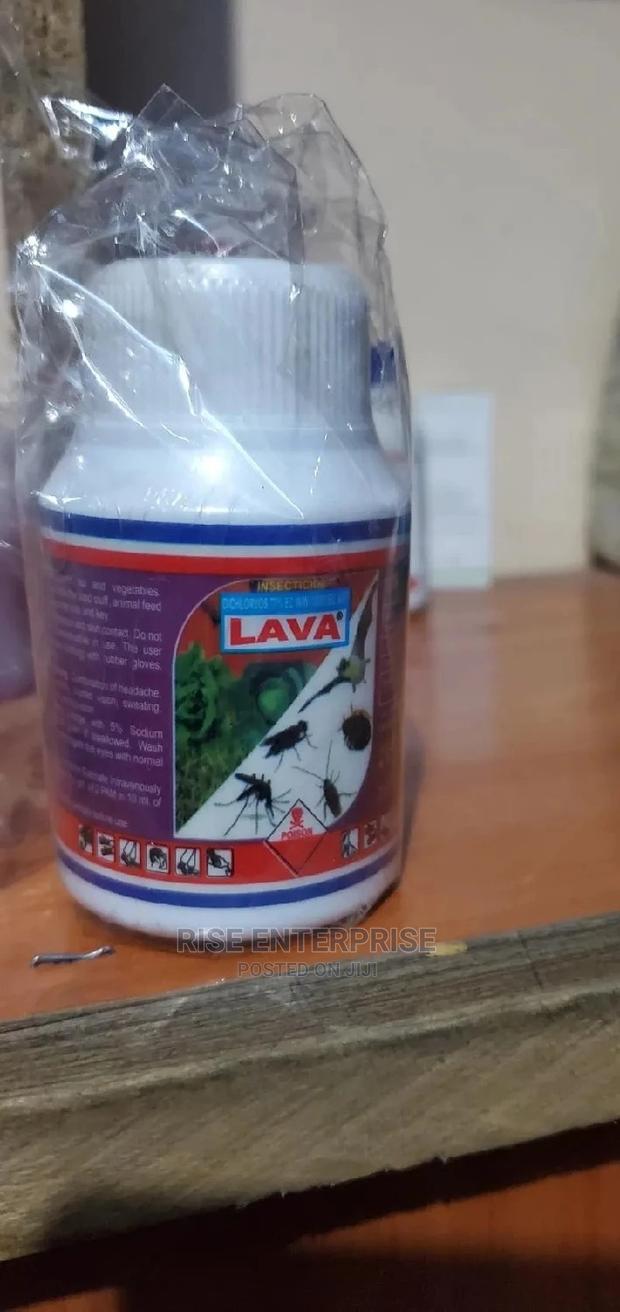 Lava Bedbugs and Cockroaches Insecticide