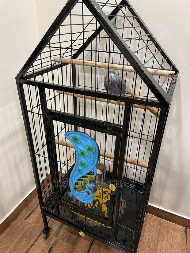 Pegions Parrot Cages - thumbnail 13