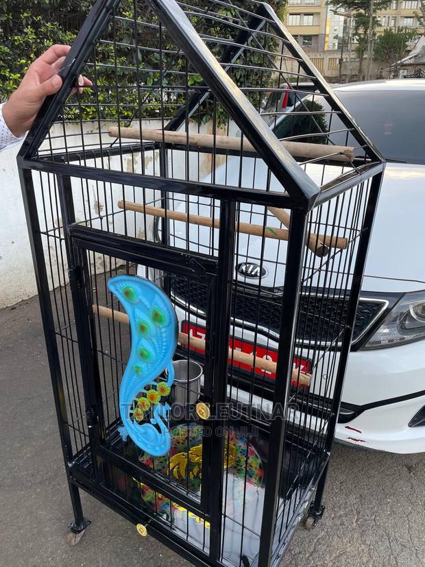 Pegions Parrot Cages - thumbnail 12