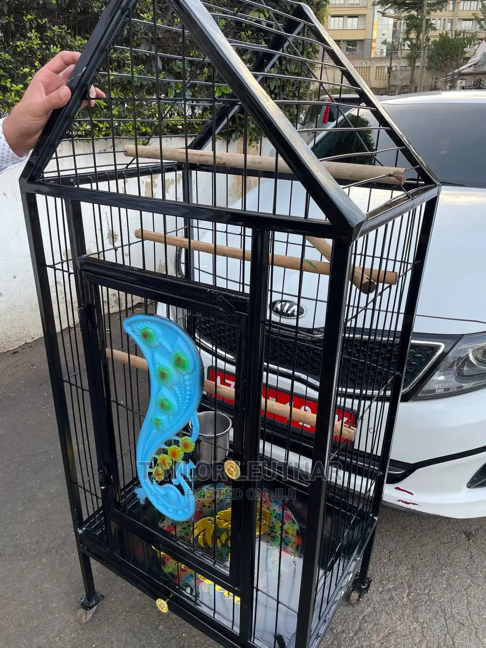 Pegions Parrot Cages