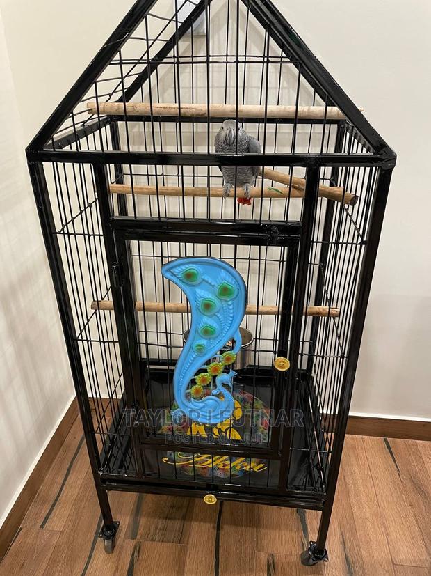 Pegions Parrot Cages - main view