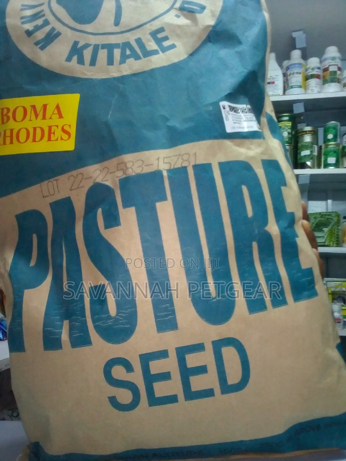 Boma Rhodes Grass Seeds 1kg