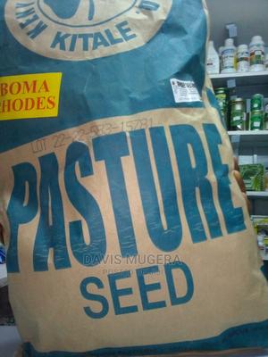 Boma Rhodes Grass Seeds 1kg - thumbnail 2