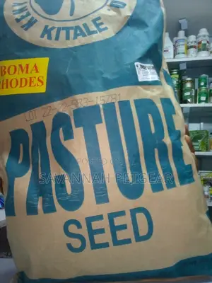 Boma Rhodes Grass Seeds 1kg